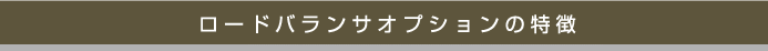 ロードバランサオプションの特徴