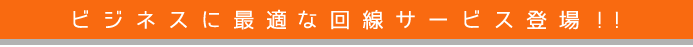 ビジネスに最適な回線サービス登場!!